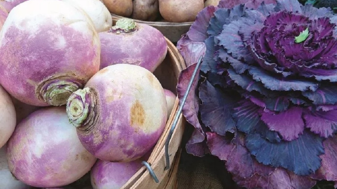 Ρέβες: Πώς να τις επιλέξετε και πώς να τις μαγειρέψετε