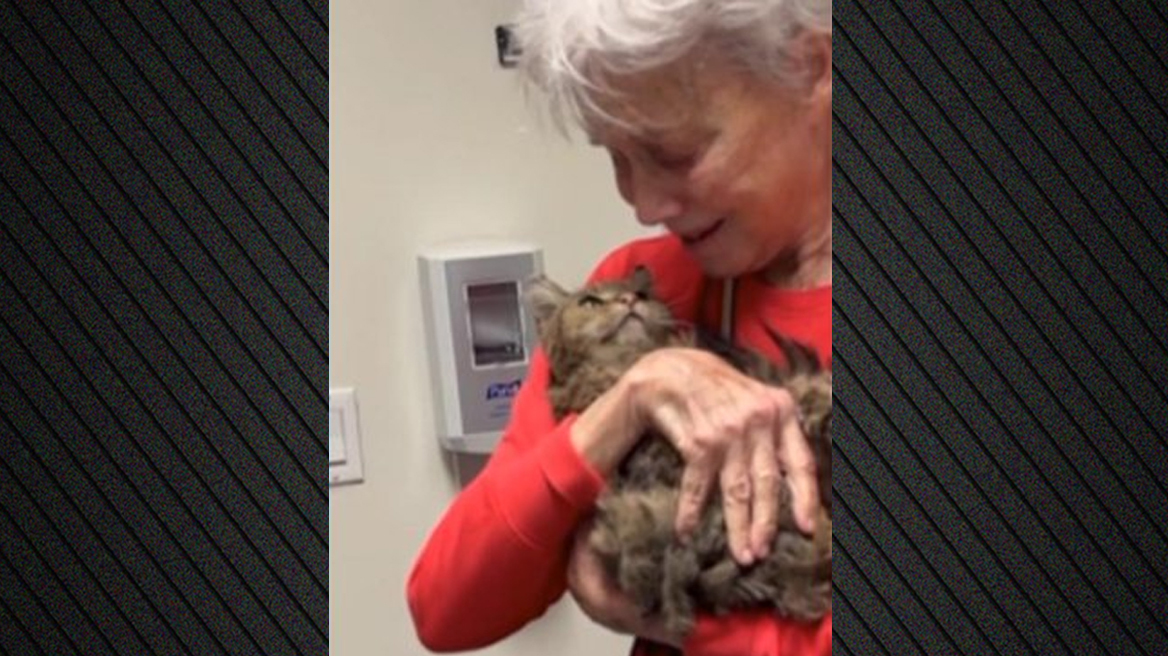 Συγκινητική επανένωση γάτας με την ιδιοκτήτριά της, δύο μήνες μετά τη φονική πυρκαγιά στο Λος Άντζελες - Δείτε βίντεο