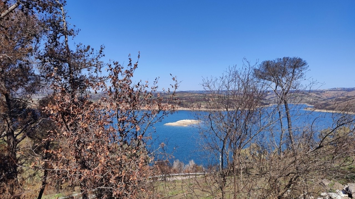 Αττική: Εμφανίστηκε… βραχονησίδα στη Λίμνη Μαραθώνα – Τι δείχνουν τα στοιχεία για τα αποθέματα νερού