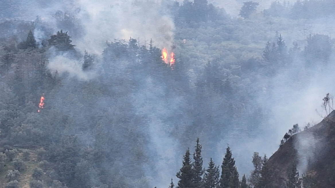 Φωτιά σε δασική έκταση σε χωριό των Χανίων, καίει σε διάσπαρτες εστίες - Ήχησε το 112