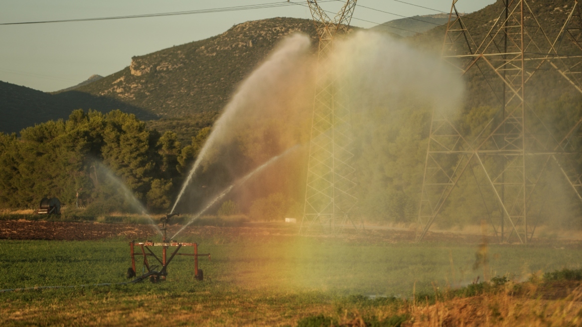 Πώς οι έντονες ξηρασίες και βροχοπτώσεις επηρεάζουν τη γεωργία τα τελευταία 30 χρόνια στην Ελλάδα - Η έκθεση της Greenpeace