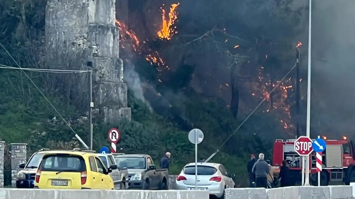 Πυρκαγιά σε δασική έκταση στη Σάμο - Δείτε βίντεο