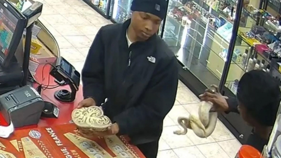 Ληστές μπήκαν σε μίνι μάρκετ και αντί για όπλα είχαν φίδια