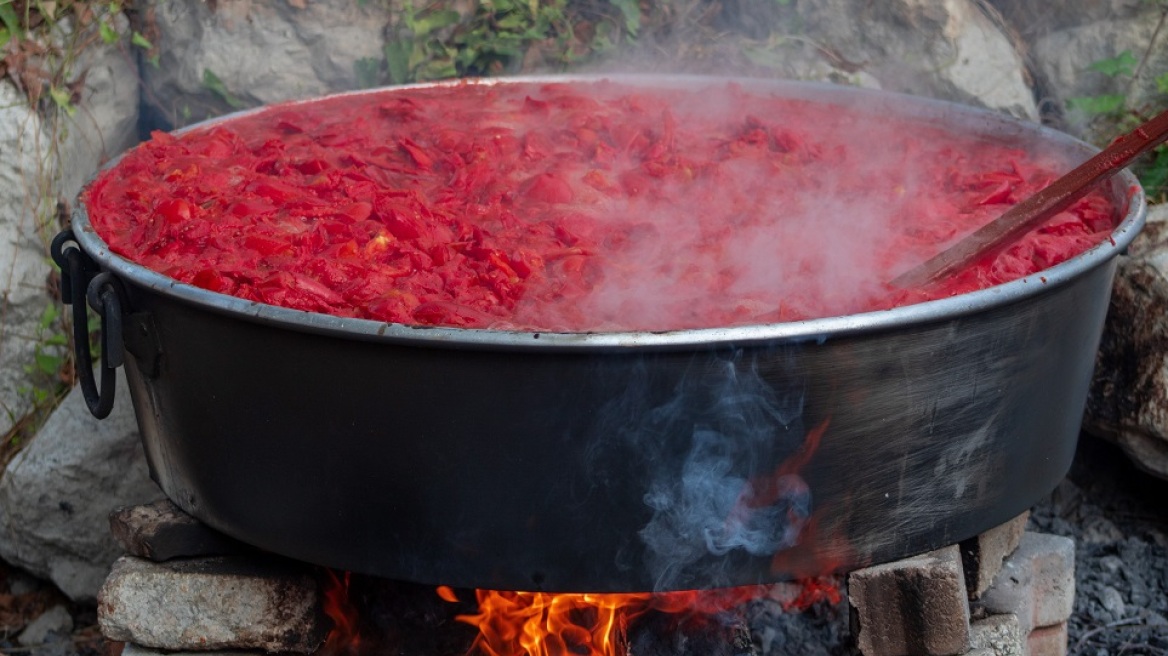 Ντομάτα: Από το τοξικό φυτό στη βάση της γαλλικής κουζίνας