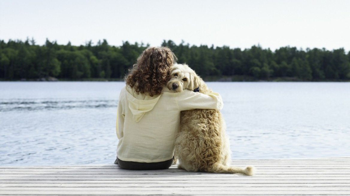 Αντιγηραντικό χάπι για σκύλους παίρνει προέγκριση