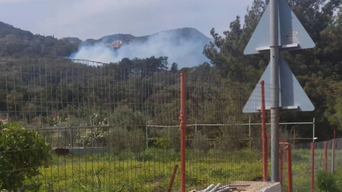 Υπό μερικό έλεγχο η πυρκαγιά σε δασική έκταση στη Σάμο
