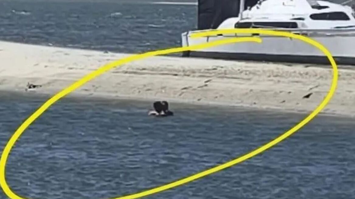 Ζευγάρι έκανε σεξ σε λίμνη στην Αυστραλία και ζήτησε... χρήματα από τους αυτόπτες μάρτυρες!