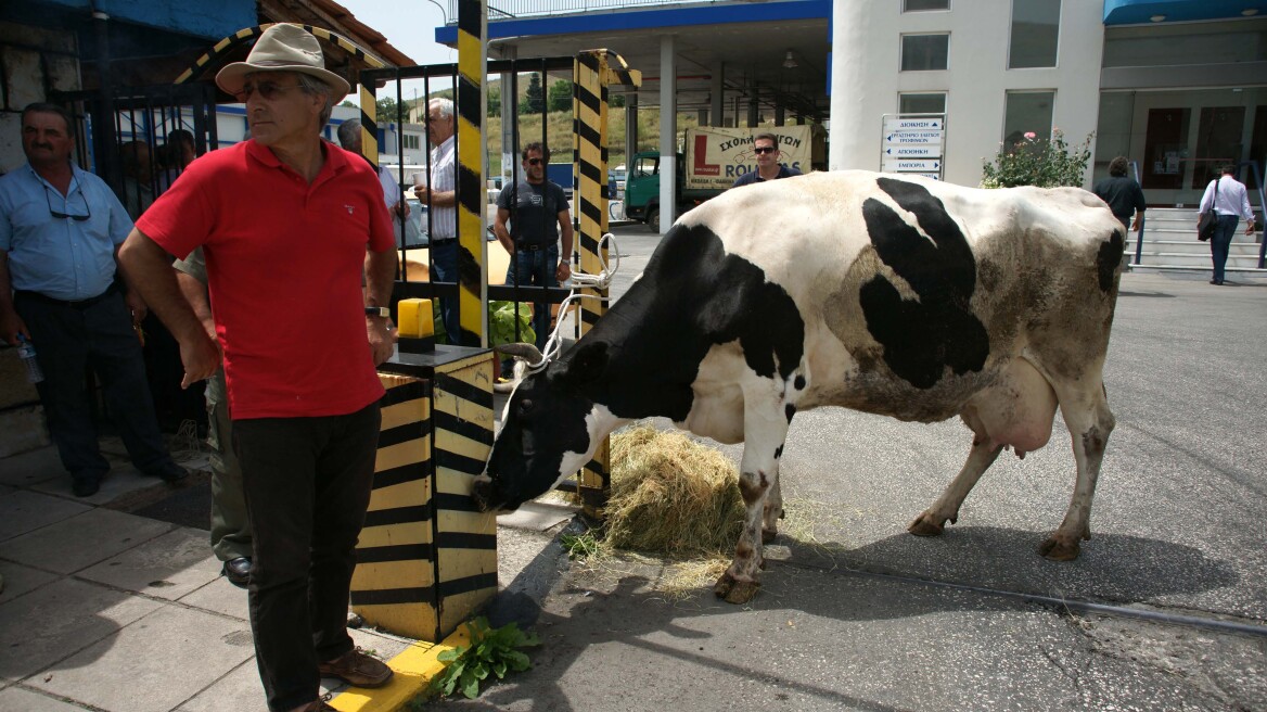 Αποζημιώσεις 16,5 εκατ. ευρώ σε κτηνοτρόφους - Στη Διαύγεια η απόφαση