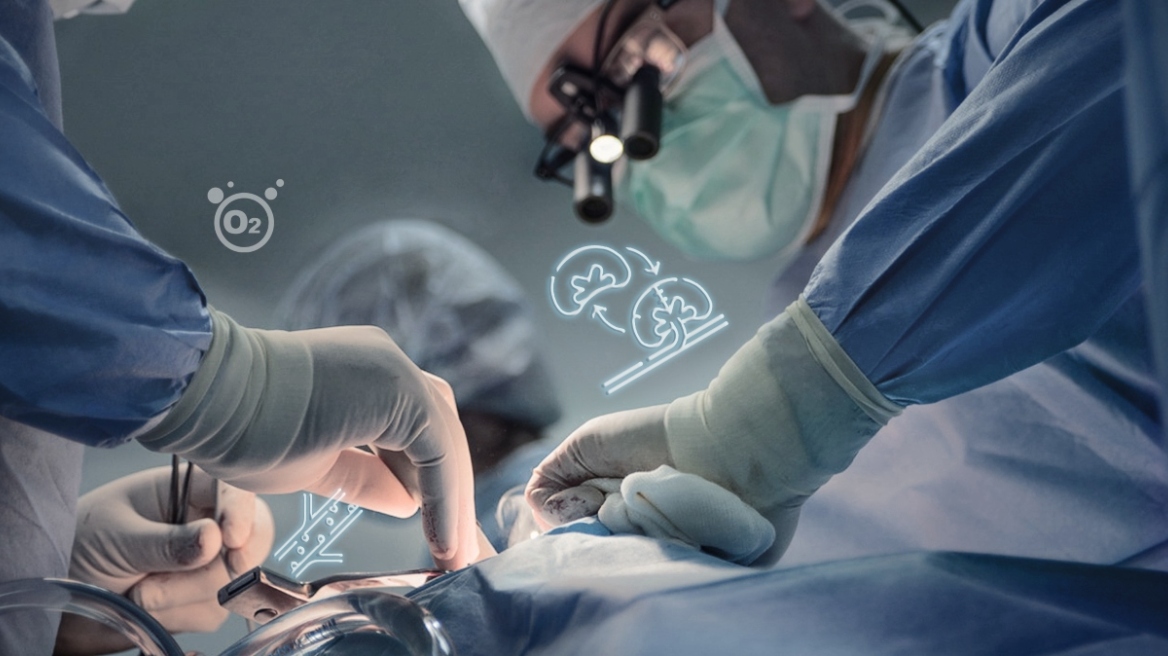 Μεταμόσχευση νεφρού σε παιδιά: Νέα ανοσοκατασταλτικά δίνουν καλύτερη ζωή και μακροβιότερα μοσχεύματα