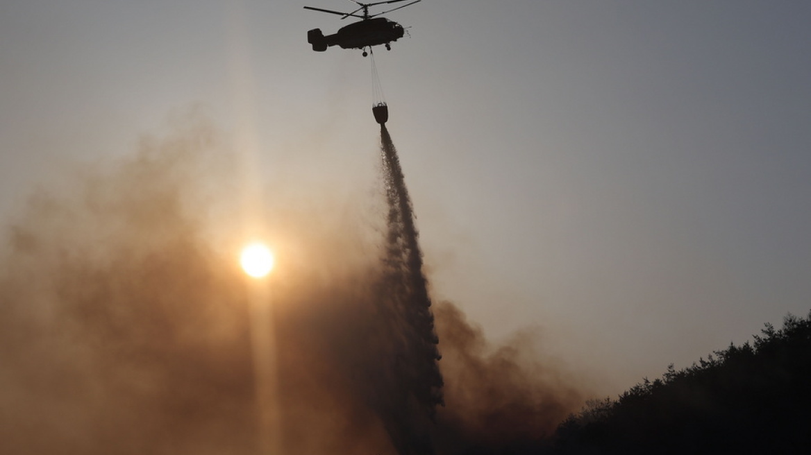 Υπό έρευνα ένας άνδρας για τις μεγάλες πυρκαγιές στη Νότια Κορέα – Έκαιγε κλαδιά με αναπτήρα
