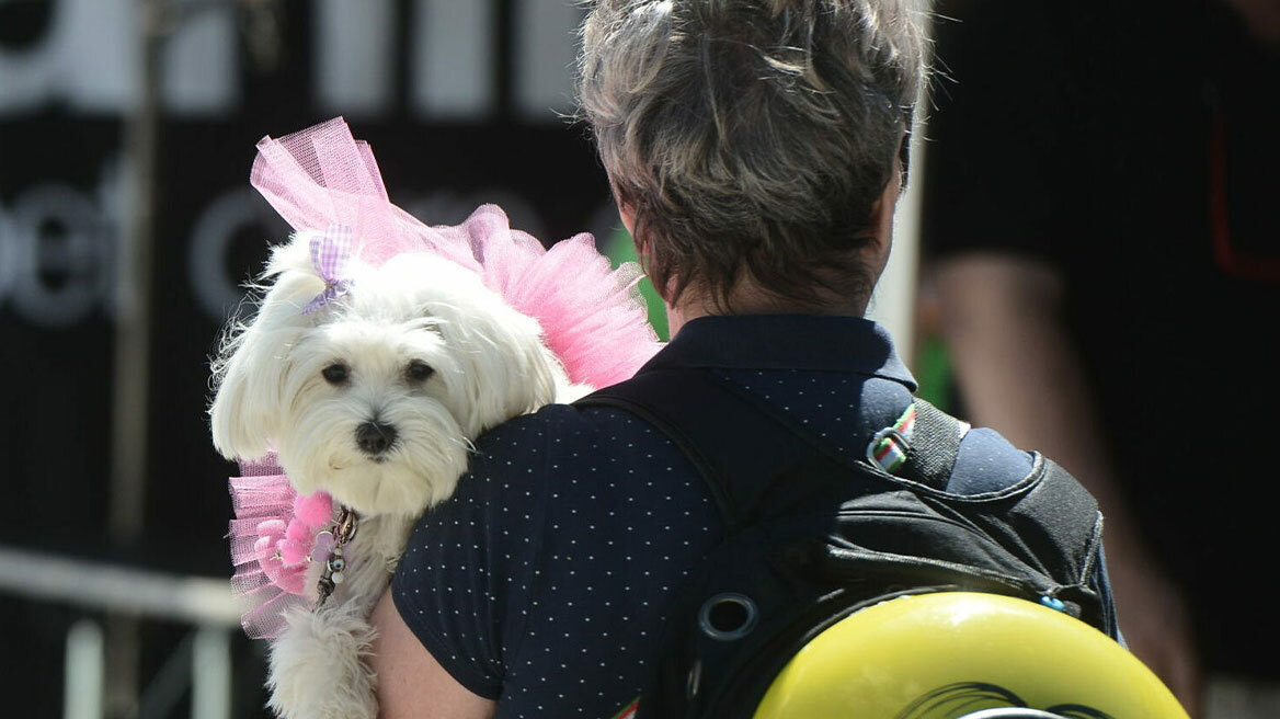 Woof Festival | Topetmou.gr: Το μεγαλύτερο Φεστιβάλ Φιλοζωίας έρχεται 5 & 6 Απριλίου, στο Πεδίον του Άρεως