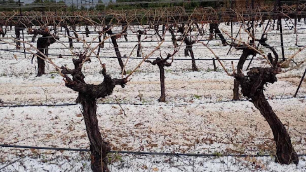 Πυκνή χαλαζόπτωση στην Κορινθία - Δείτε βίντεο και φωτογραφίες 