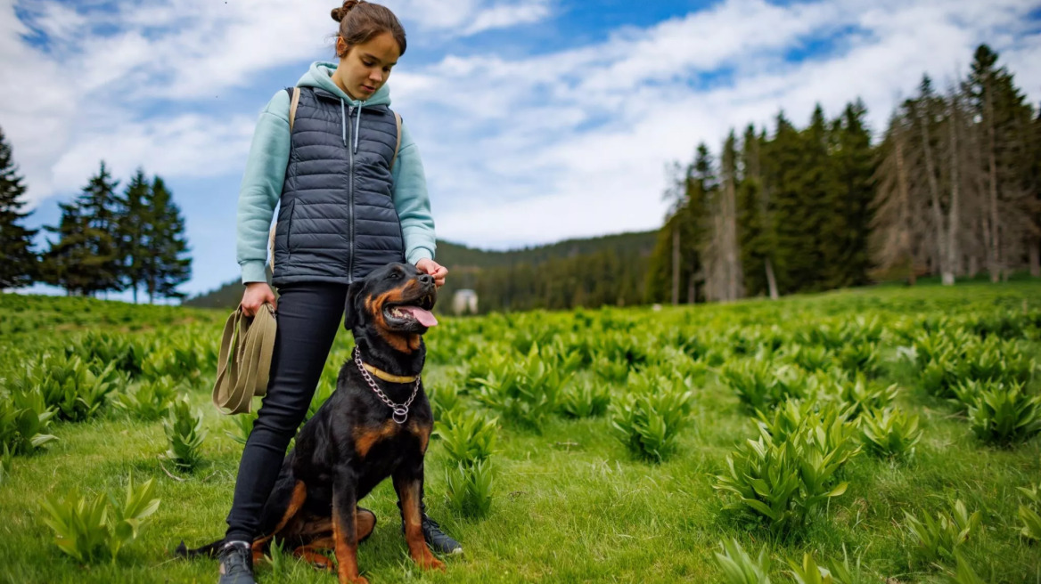 Αυτές είναι οι πιο προστατευτικές φυλές σκύλων