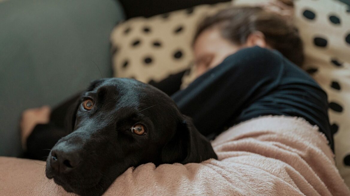 Οι 5 σοβαροί λόγοι που ο σκύλος σας μπορεί να πονάει και εσείς να μην το καταλαβαίνετε