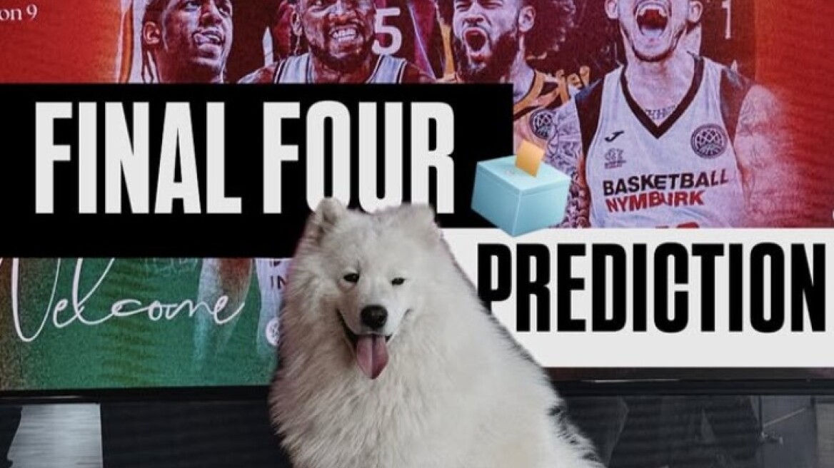 Basketball Champions League: Σκύλος προβλέπει πρόκριση της ΑΕΚ στο Final-4