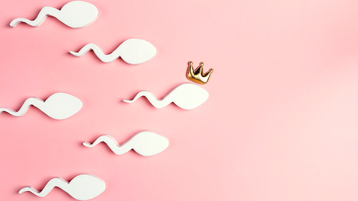 Sperm Racing: Ο πιο… μικροσκοπικός αγώνας της χρονιάς με έπαθλο 1 εκατομμύριο δολάρια