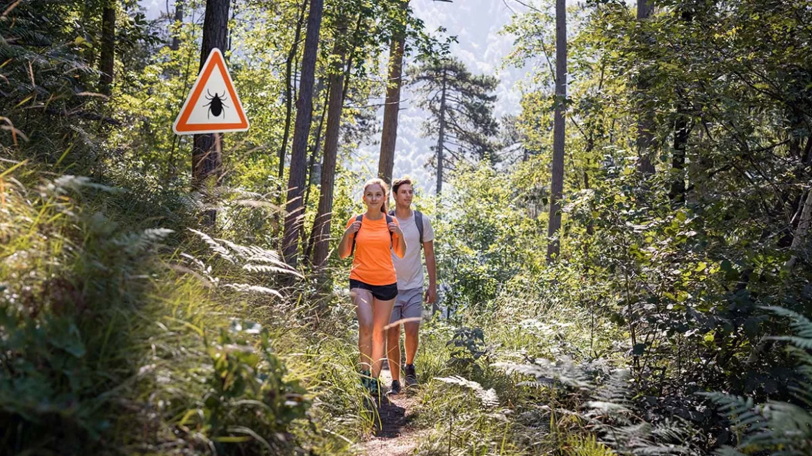 Οι νέοι χάρτες του ECDC για τα τσιμπήματα τσιμπουριών που προκαλούν εγκεφαλίτιδα