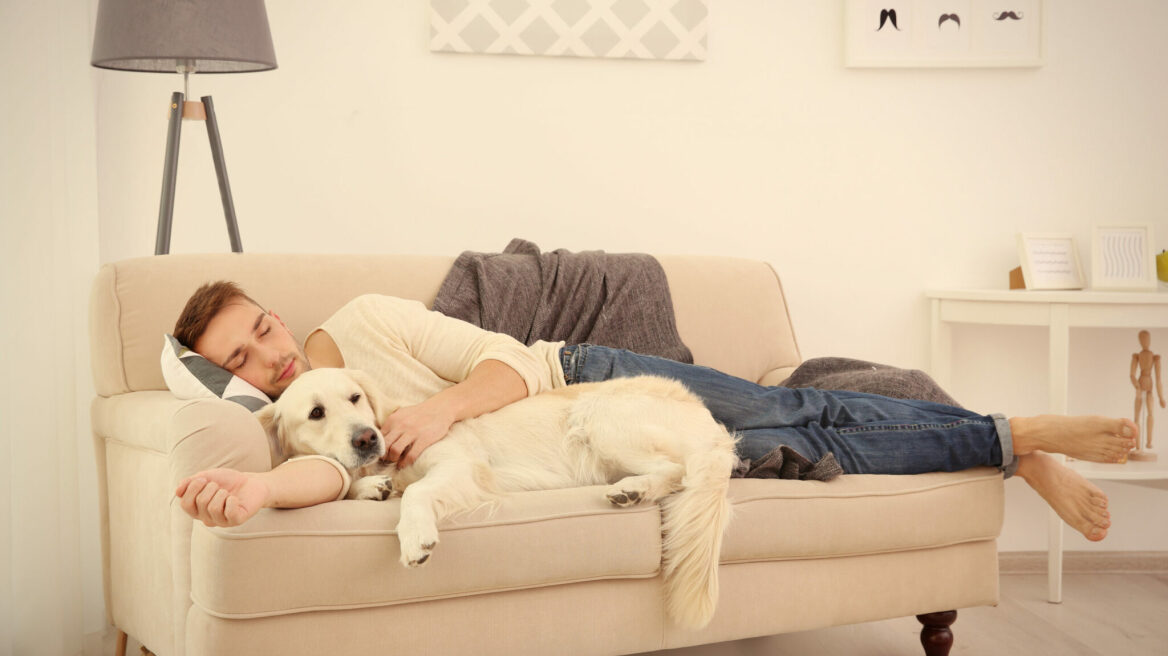 Βλέπετε συνέχεια στον ύπνο σας έναν σκύλο; Δείτε τι μπορεί να σημαίνει