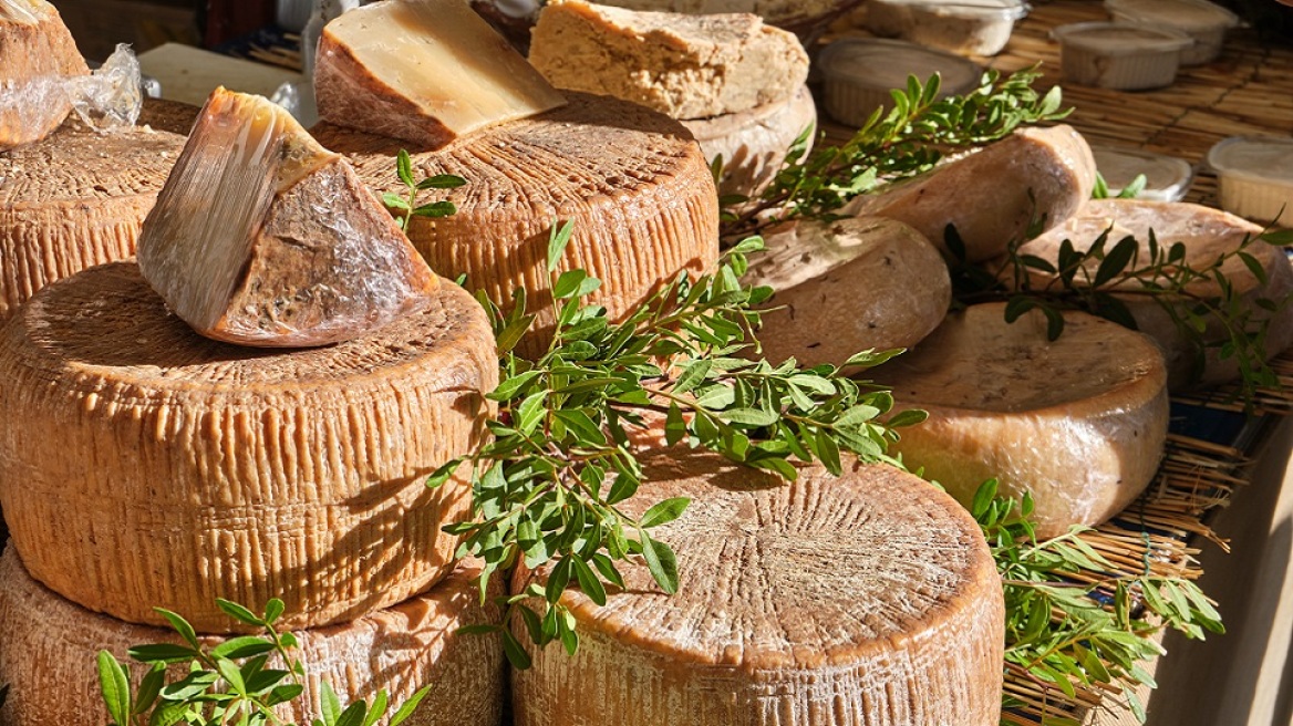 Casu Marzu: Το πιο «επικίνδυνο» τυρί του κόσμου