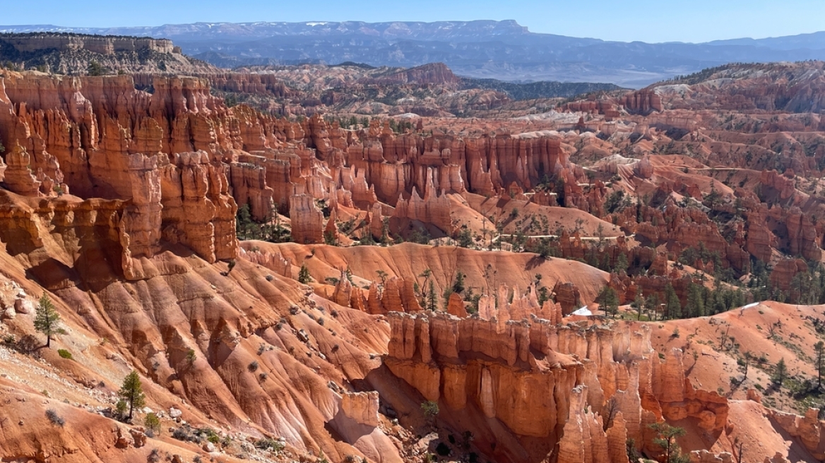 Ζευγάρι έπεσε σε φαράγγι 115 μέτρων - Είχαν μαζί τους τη γάτα τους, που... επέζησε