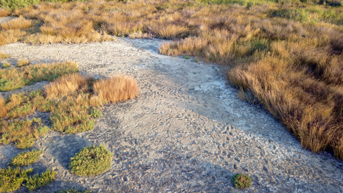 Δυτική Ελλάδα: Ξεκίνησε η λήψη μέτρων για την αντιμετώπιση της ξηρασίας