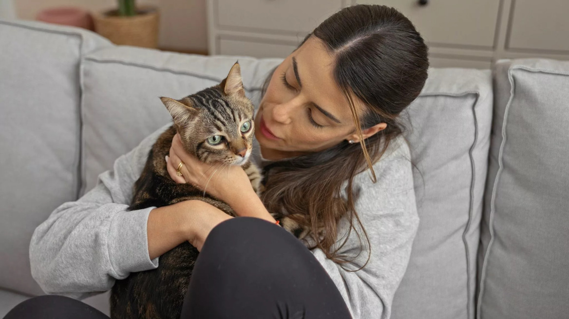 Τι νιώθει η γάτα σας όταν την παίρνετε αγκαλιά
