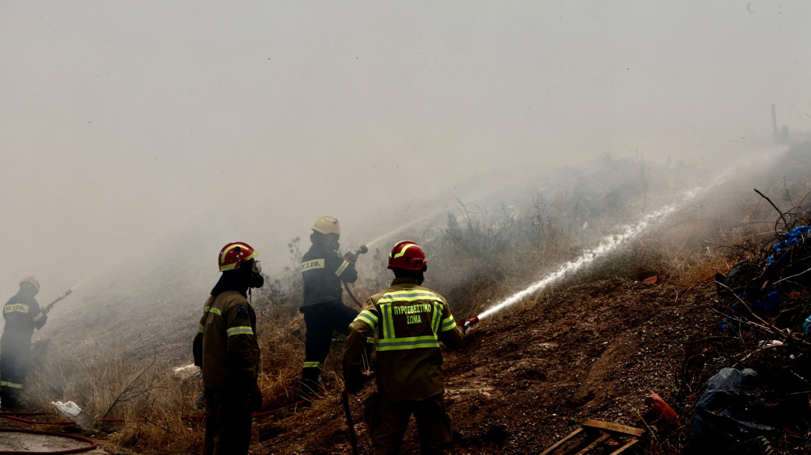 Φωτιά τώρα στις Λάκκες Αργολίδας 