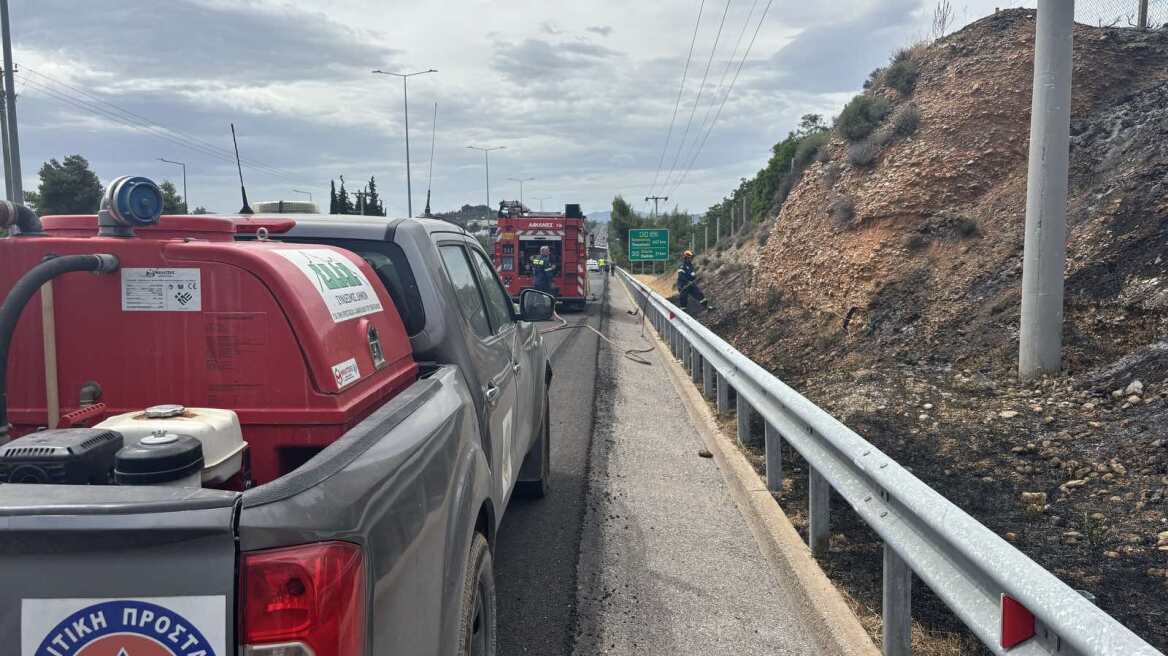 Οριοθετήθηκε η φωτιά στον Αυλώνα