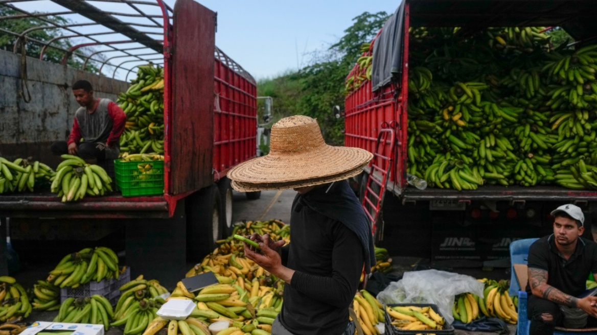 Η Chiquita του Παναμά απολύει όλους τους απεργούς μερικώς απασχολούμενους σε φυτείες μπανάνας της