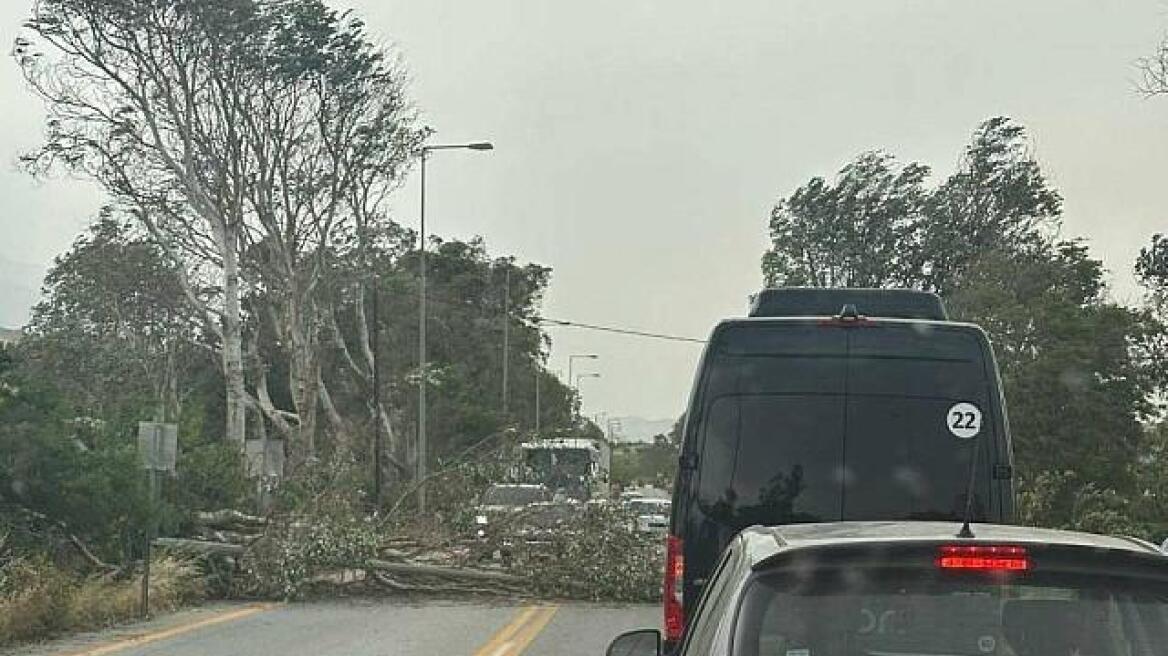 Σαρώνεται από ισχυρούς ανέμους η Δυτική Κρήτη: Πτώσεις δέντρων και πολλά προβλήματα σε Χανιά και Ρέθυμνο
