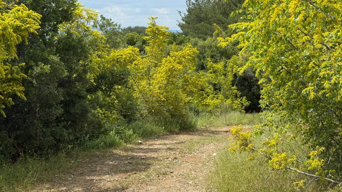 Βρέθηκε το τζιπ με το οποίο διέφυγαν οι Τούρκοι αφότου πυροβόλησαν το κλιμάκιο της ΕΥΠ