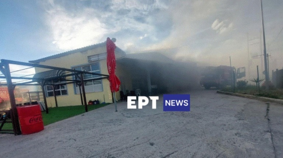 Λέσβος: Μεγάλη φωτιά σε σούπερ μάρκετ στη Βρίσα - Νεκρή 65χρονη γυναίκα Λέσβος: Μεγάλη φωτιά σε σούπερ μάρκετ στη Βρίσα - Νεκρή 65χρονη γυναίκα