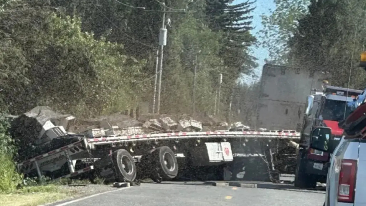 Σμήνος με 250 εκατ. μέλισσες απέδρασε μετά την ανατροπή φορτηγού στις ΗΠΑ - Δείτε βίντεο
