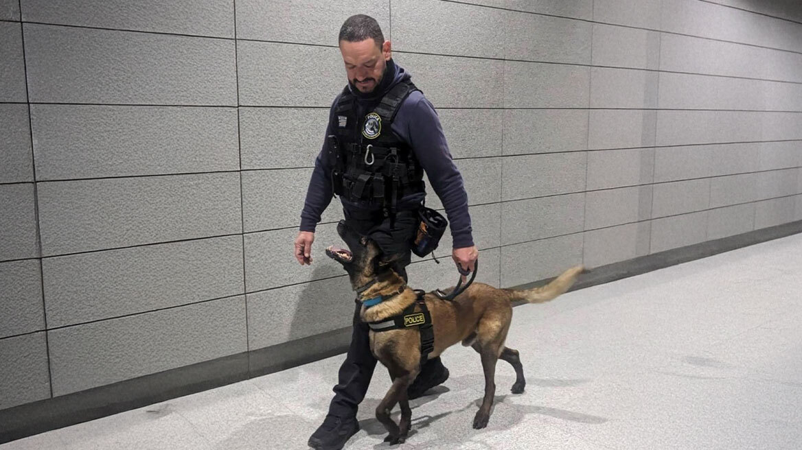 Τέλος εποχής για τον θρυλικό σκύλο περιπολίας της ΕΛΑΣ - Βγαίνει στη σύνταξη ο Όσκαρ