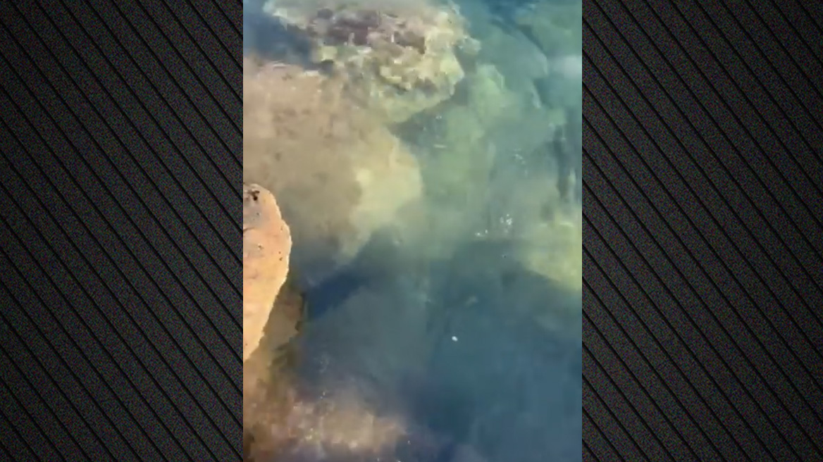 Καταγγελία από τον Ναυτικό Όμιλο για πιθανή ρύπανση στον κόλπο της Βουλιαγμένης - Δείτε βίντεο