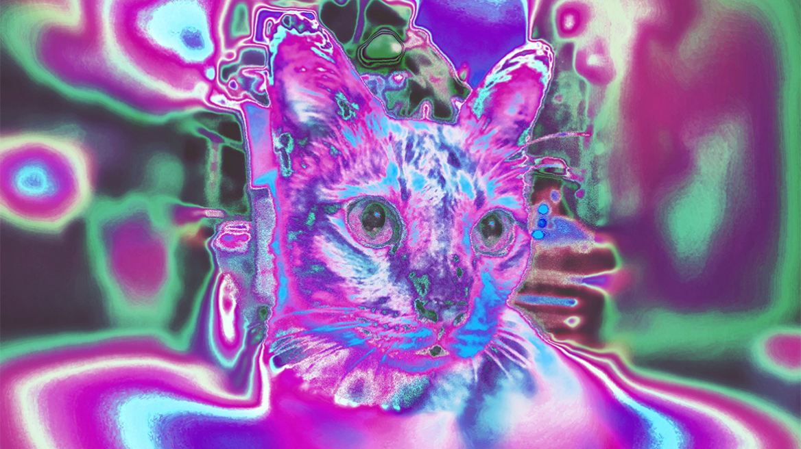 Υπάρχουν χρώματα που δεν βλέπουμε; H απάντηση είναι σε LSD, DMT και μανιτάρια, σύμφωνα με επιστήμονες