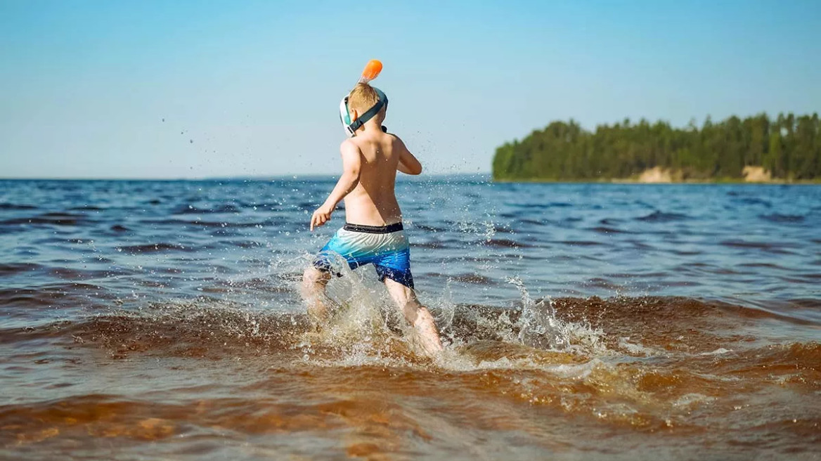 Θαλάσσια ανεμώνη, το επικίνδυνο «λουλούδι» του βυθού – Πώς να την αποφύγουμε