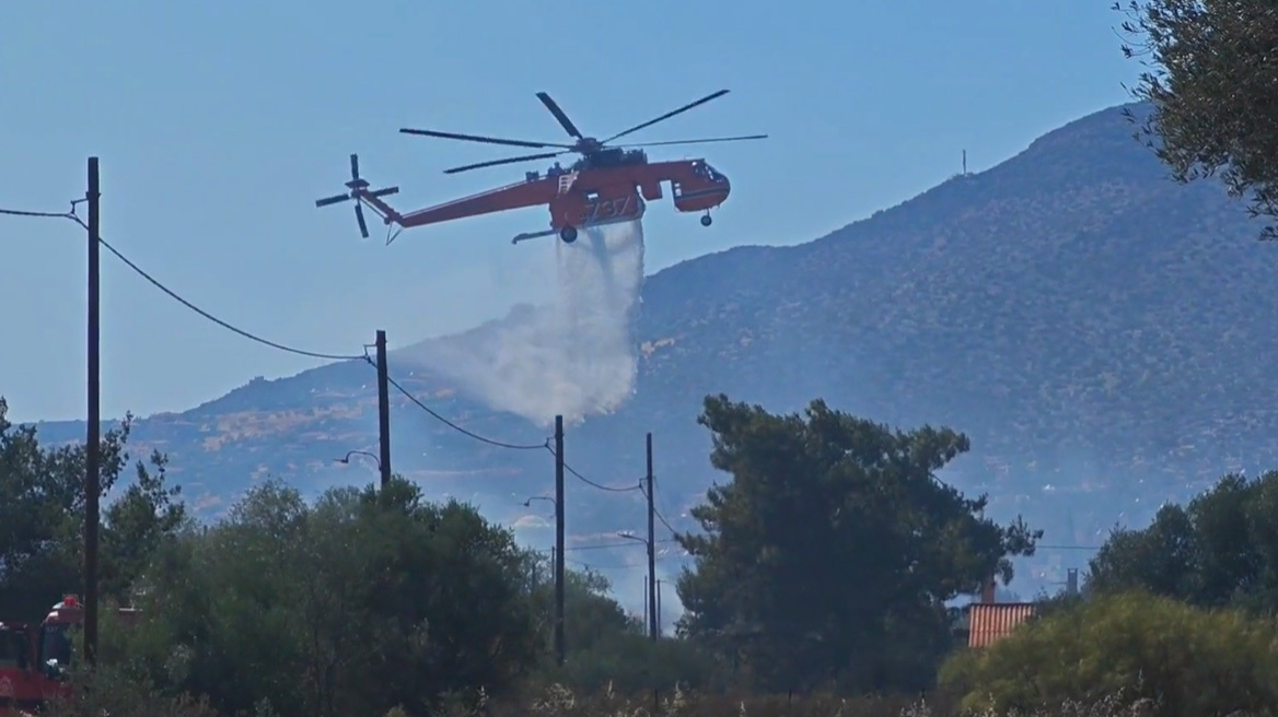Χωρίς ενεργό μέτωπο οι φωτιές σε Ανάβυσσο, Λέσβο και Ξάνθη