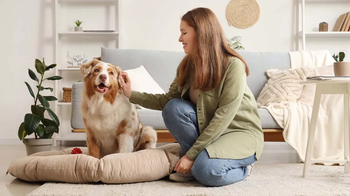 Έχετε κατοικίδιο; Δείτε τι αλλάζει στο ανοσοποιητικό σας
