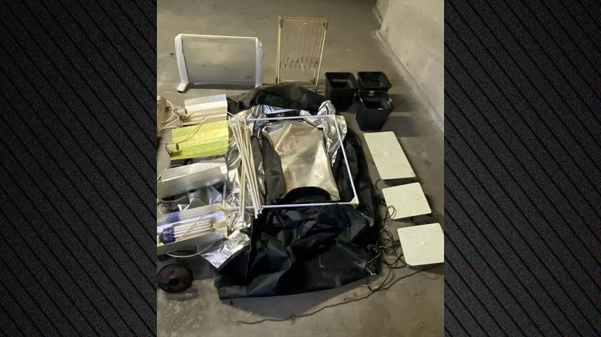 Θεσσαλονίκη: Θερμοκήπιο κάνναβης σε διαμέρισμα - Συνελήφθη 42χρονος