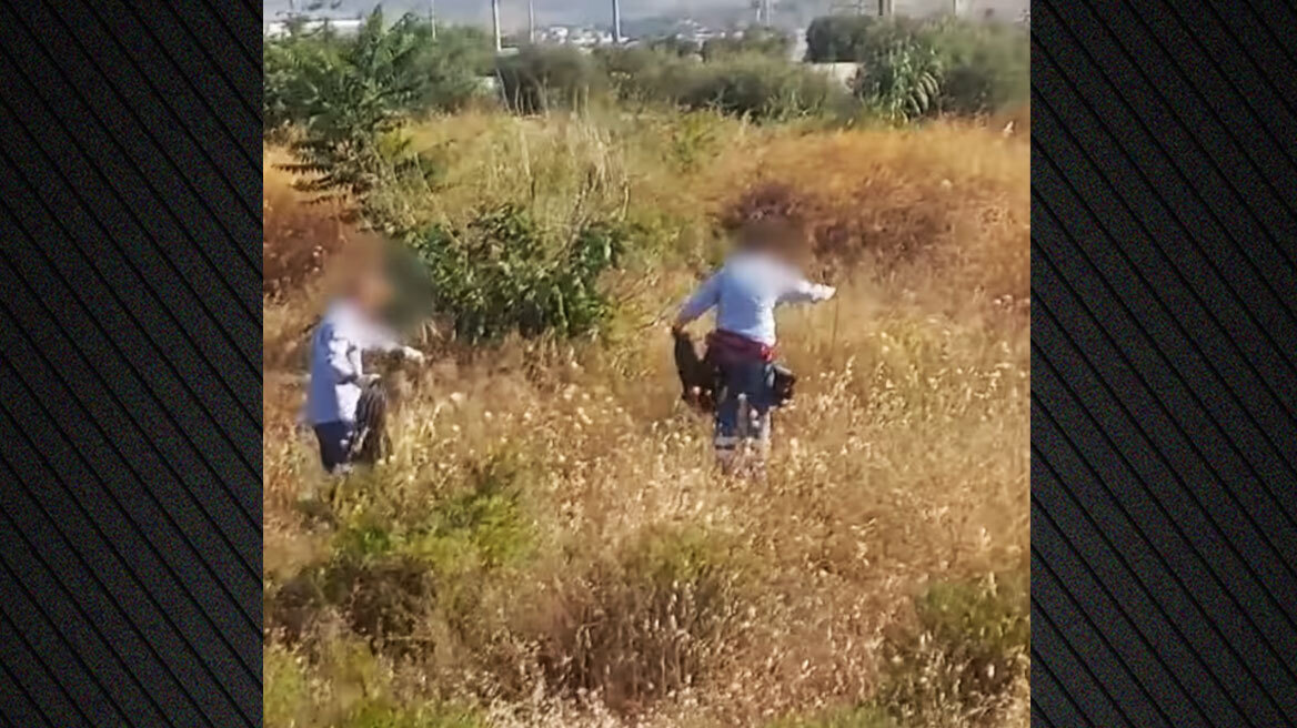 Μάνδρα: Επιχείρηση της ΕΛΑΣ σε καταυλισμό - Ξήλωσαν καλώδιο 150 μ. που είχαν τραβήξει από κολώνα φωτισμού για να κλέβουν ρεύμα