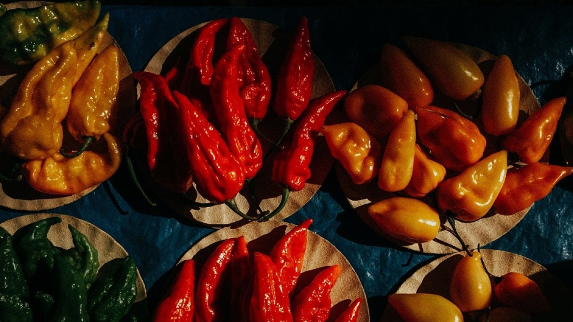 Πιπεριά: Οι ποικιλίες της και τρεις καλοκαιρινές συνταγές