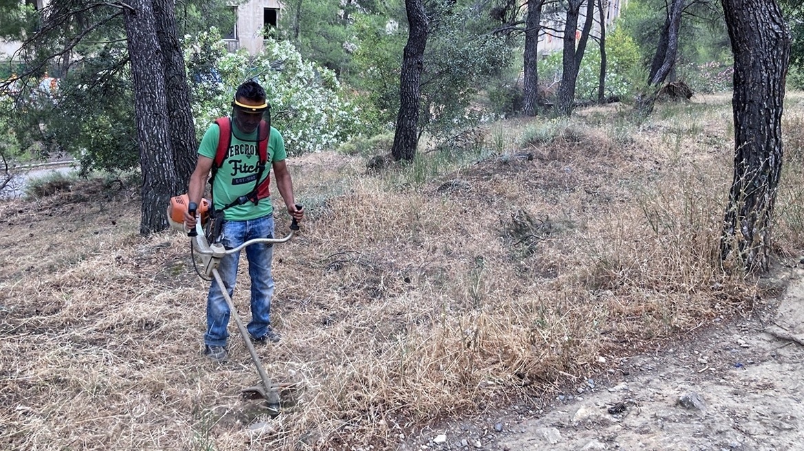 Ξεπέρασαν τις 700.000 οι δηλώσεις για καθαρισμούς οικοπέδων