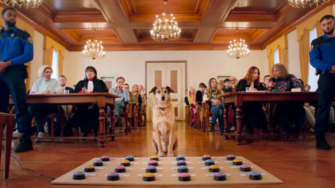 Κερδίστε 50 διπλές προσκλήσεις για τη βραβευμένη ταινία «Η δίκη ενός σκύλου»