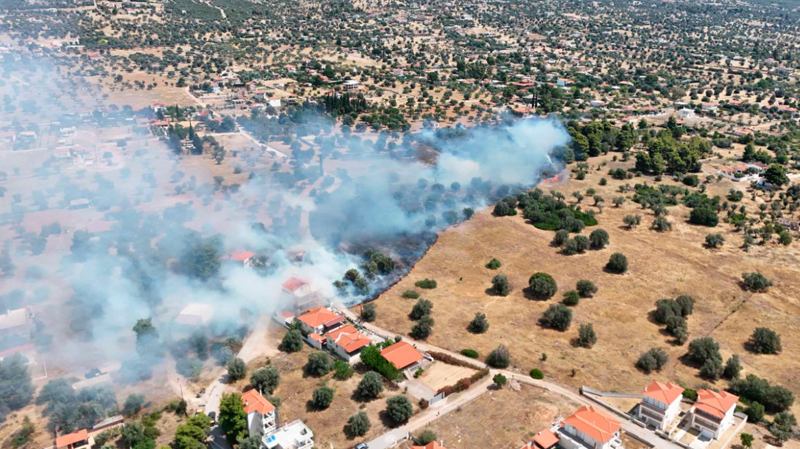 Οριοθετήθηκε η φωτιά στη Λιανή Άμμο στην Ερέτρια