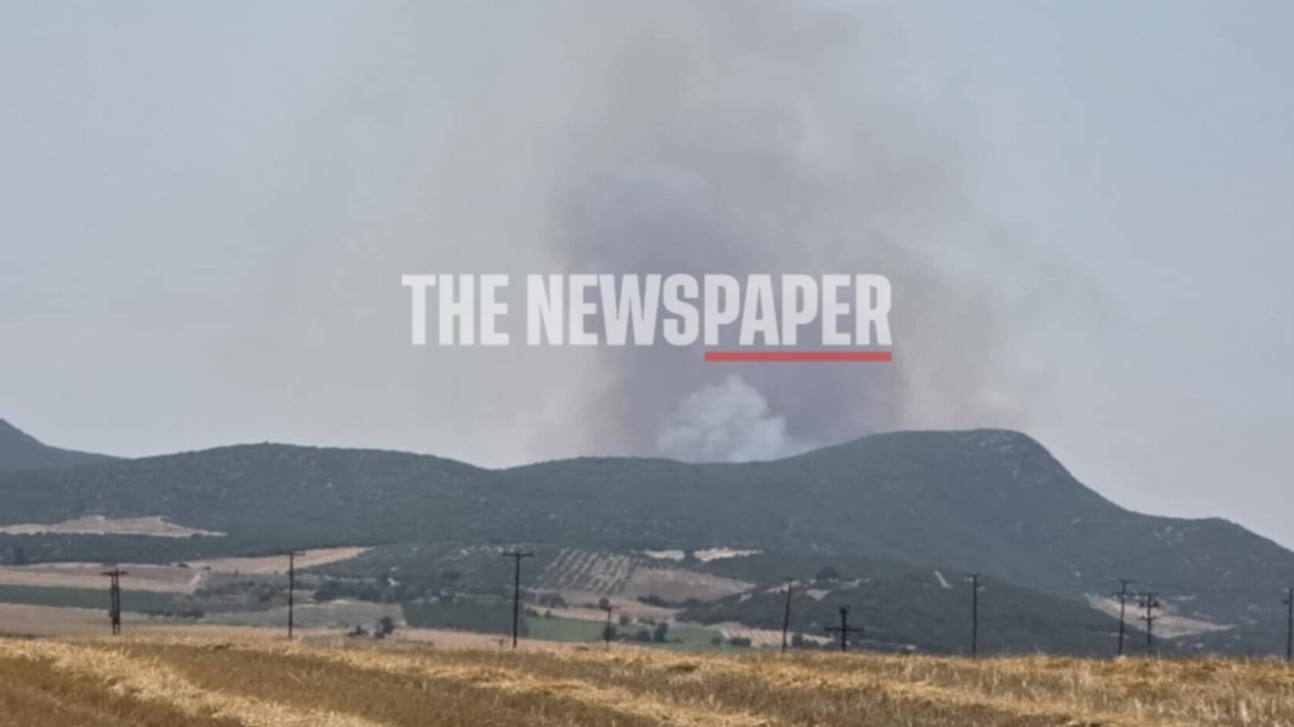 Μεγάλη φωτιά στον οικισμό Κοκκίνα στα όρια Μαγνησίας – Λάρισας