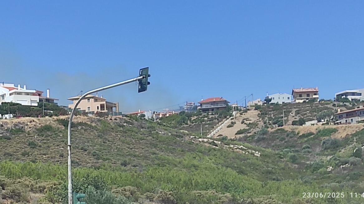 Οριοθετήθηκε η φωτιά στον Νέο Βουτζά