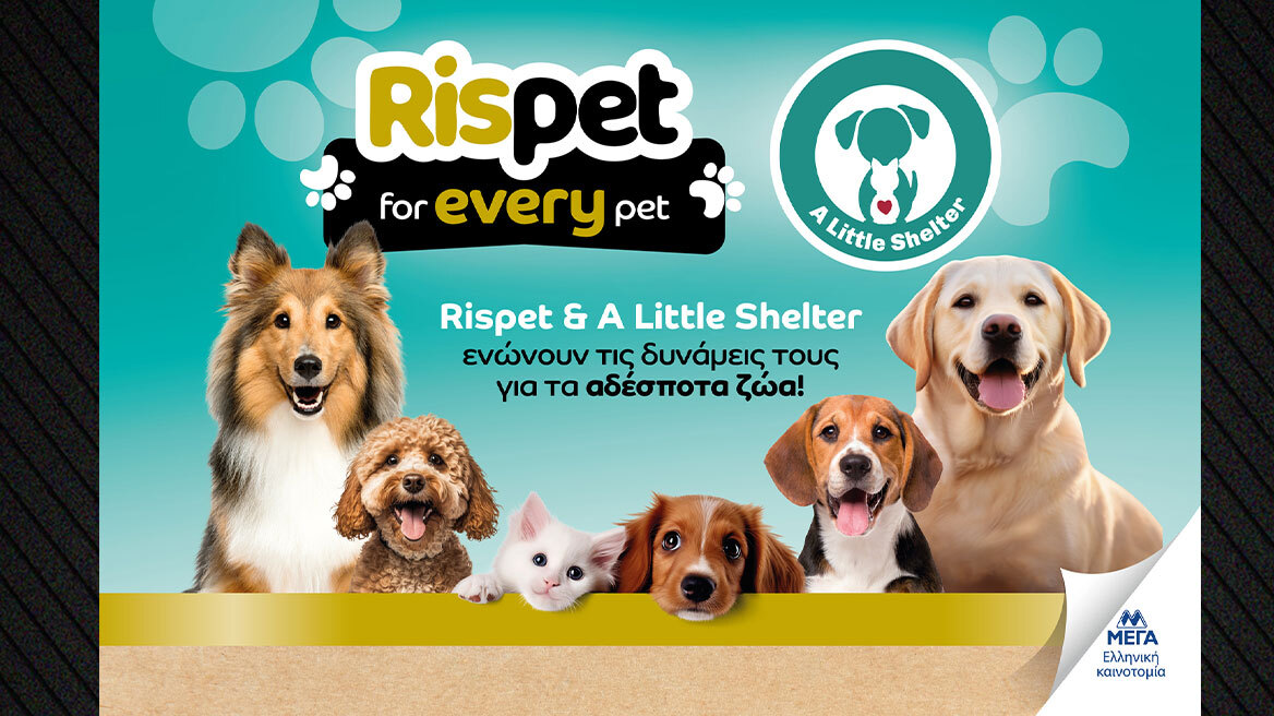 Rispet & A Little Shelter ενώνουν τις δυνάμεις τους για τα αδέσποτα ζώα