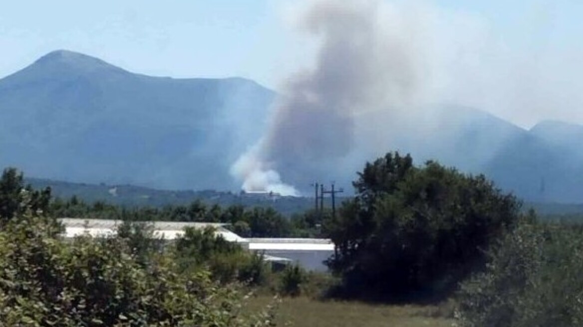 Φωτιά τώρα στην Αρκαδία - Επιχειρούν 4 αεροσκάφη και 2 ελικόπτερα