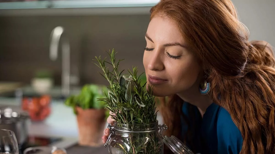 Άνοια: 2 βότανα που ενισχύουν τη μνήμη και μειώνουν τη φλεγμονή στον εγκέφαλο